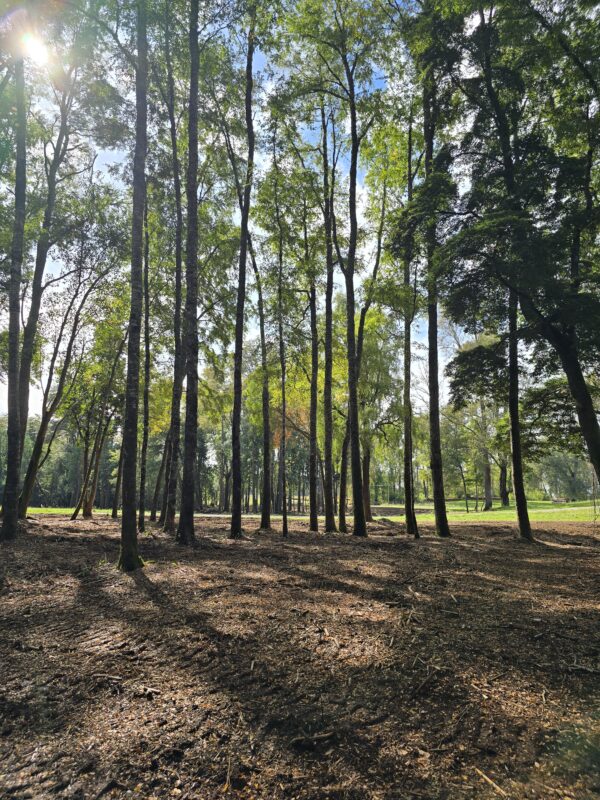 rinconada a solo 15 kms de villarrica