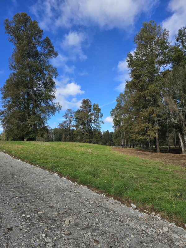 rinconada a solo 15 kms de villarrica