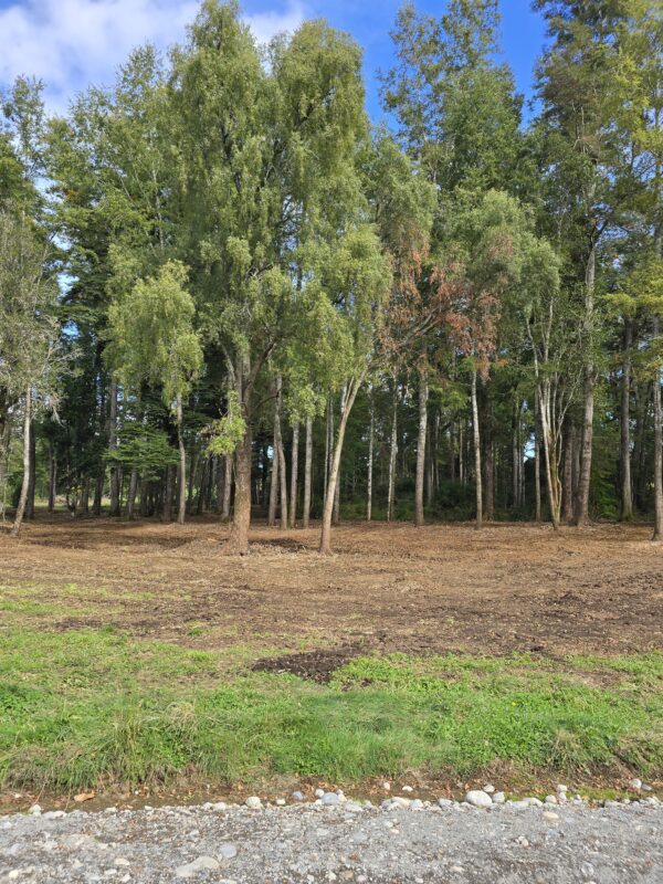 rinconada a solo 15 kms de villarrica