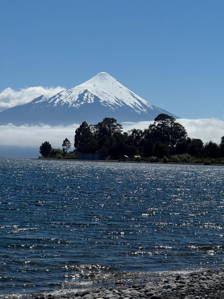 vive puerto varas