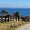 vive puerto varas vive puerto varas