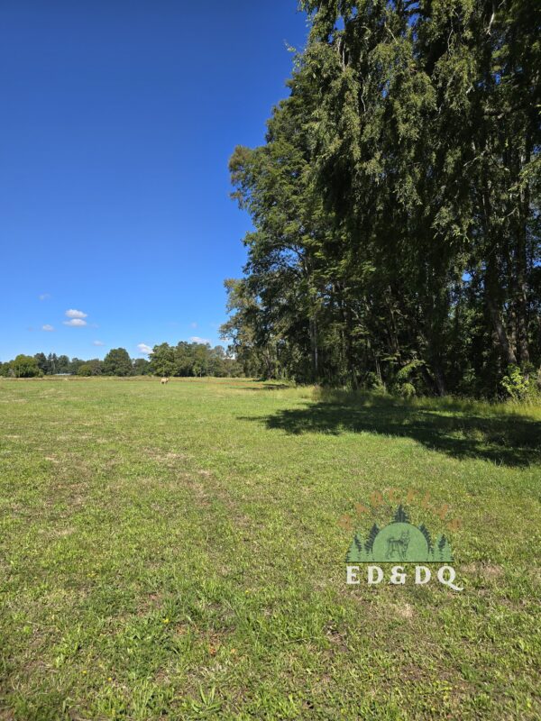 rinconada a solo 15 min de villarrica