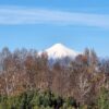 praderas de villarrica etapa ii desde $25.000.000 praderas de villarrica etapa ii desde $25.000.000