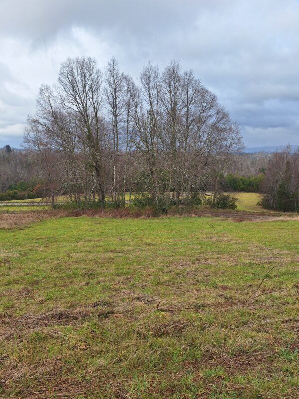 praderas de villarrica etapa ii desde $25.000.000