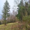 praderas de villarrica etapa ii desde $25.000.000 praderas de villarrica etapa ii desde $25.000.000