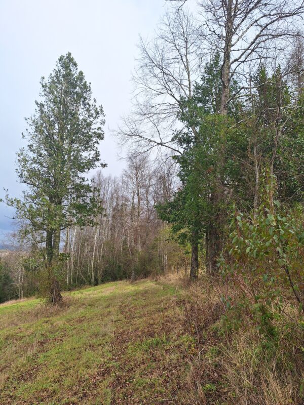 praderas de villarrica etapa ii desde $25.000.000