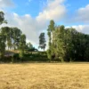 río escondido ruta villarrica pucón desde 2774 uf