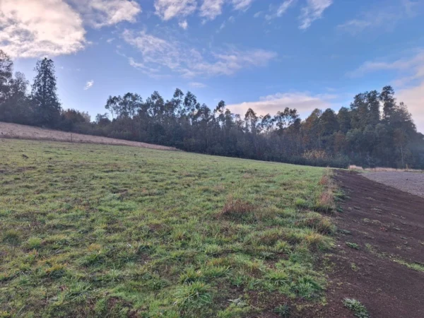 praderas de villarrica etapa ii desde $25.000.000