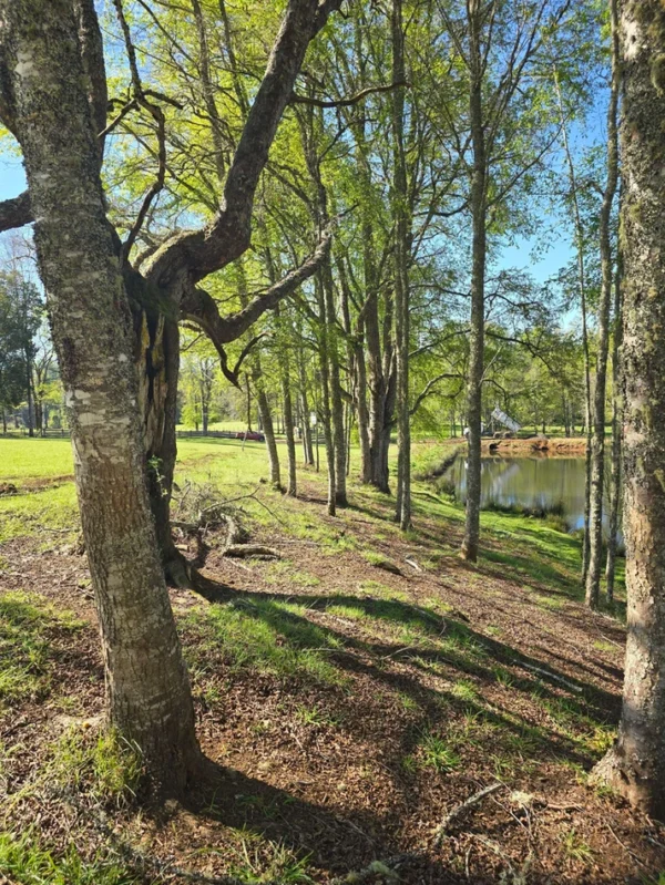 hermosas parcelas por ruta s 91 río, luz y agua. crédito directo