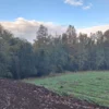 praderas de villarrica etapa ii desde $25.000.000 praderas de villarrica etapa ii desde $25.000.000