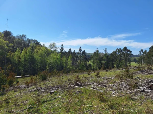 hermosas parcelas por ruta s 91 río, luz y agua. crédito directo