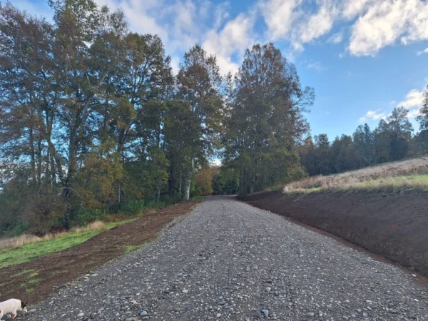 praderas de villarrica etapa ii desde $25.000.000
