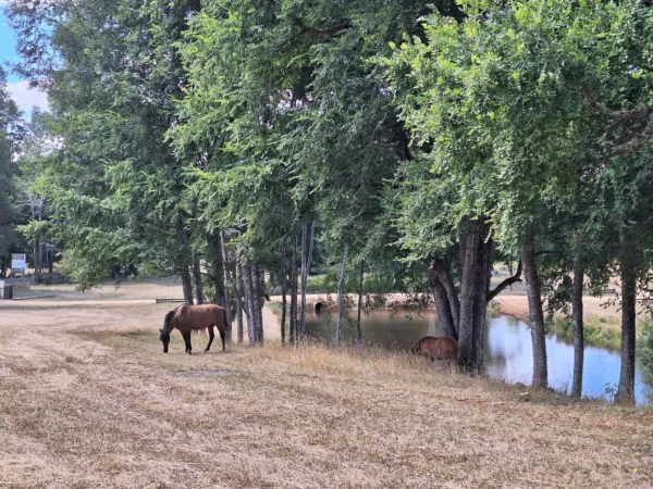 hermosas parcelas por ruta s 91 río, luz y agua. crédito directo