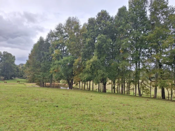 hermosas parcelas por ruta s 91 río, luz y agua. crédito directo