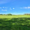 praderas de villarrica iii y iv desde $24.990.000 praderas de villarrica iii y iv desde $24.990.000