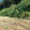 parcela ruta villarrica freire $45.000.000