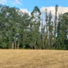 río escondido ruta villarrica pucón desde 2774 uf