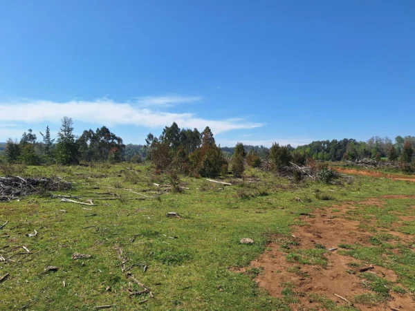 hermosas parcelas por ruta s 91 río, luz y agua. crédito directo