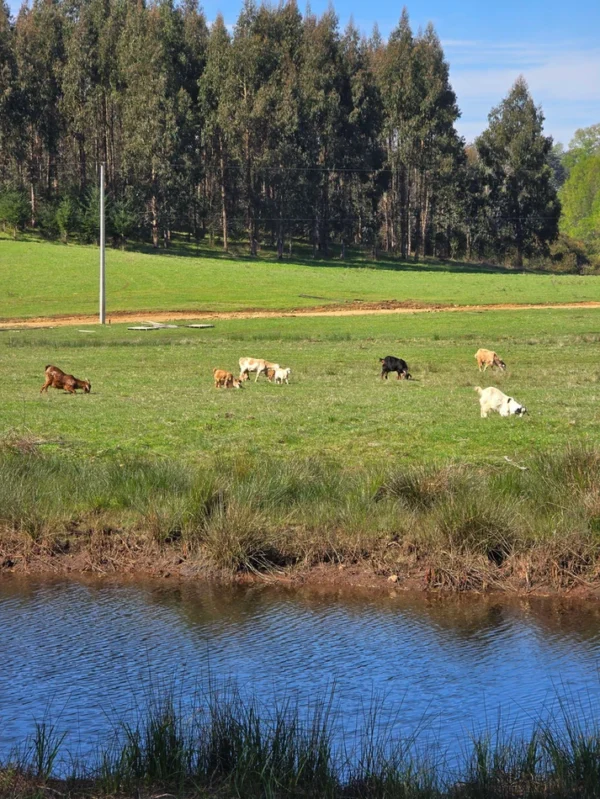 hermosas parcelas por ruta s 91 río, luz y agua. crédito directo