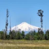 praderas de villarrica iii y iv desde $24.990.000 praderas de villarrica iii y iv desde $24.990.000