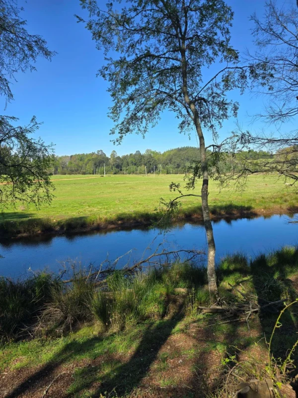 hermosas parcelas por ruta s 91 río, luz y agua. crédito directo