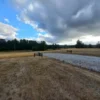 río escondido ruta villarrica pucón desde 2774 uf