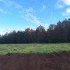 praderas de villarrica etapa ii desde $25.000.000 praderas de villarrica etapa ii desde $25.000.000