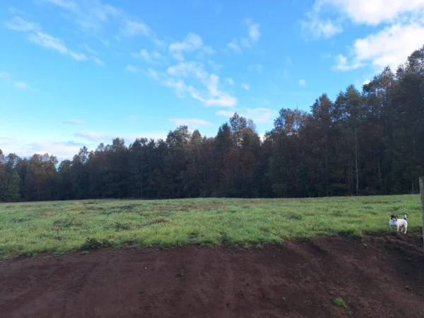 praderas de villarrica etapa ii desde $25.000.000