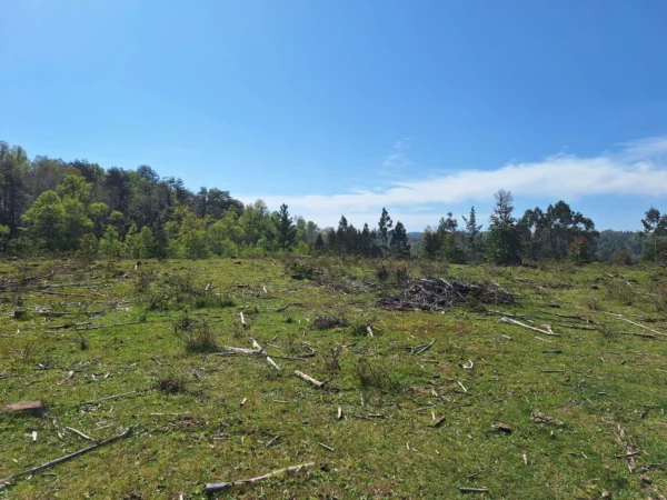 hermosas parcelas por ruta s 91 río, luz y agua. crédito directo