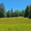 praderas de villarrica iii y iv desde $24.990.000 praderas de villarrica iii y iv desde $24.990.000