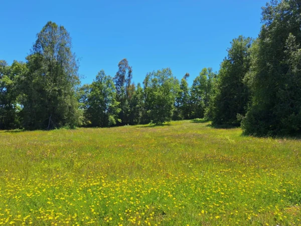 praderas de villarrica iii y iv desde $24.990.000