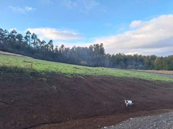 praderas de villarrica etapa ii desde $25.000.000