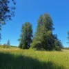 praderas de villarrica iii y iv desde $24.990.000 praderas de villarrica iii y iv desde $24.990.000