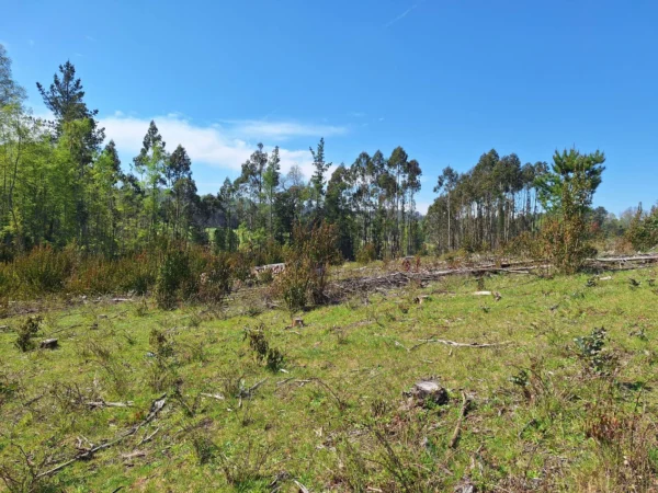 hermosas parcelas por ruta s 91 río, luz y agua. crédito directo
