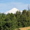 praderas de villarrica iii y iv desde $24.990.000 praderas de villarrica iii y iv desde $24.990.000