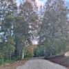 praderas de villarrica etapa ii desde $25.000.000 praderas de villarrica etapa ii desde $25.000.000