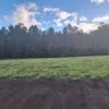 praderas de villarrica etapa ii desde $25.000.000 praderas de villarrica etapa ii desde $25.000.000