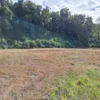 parcela ruta villarrica freire $45.000.000