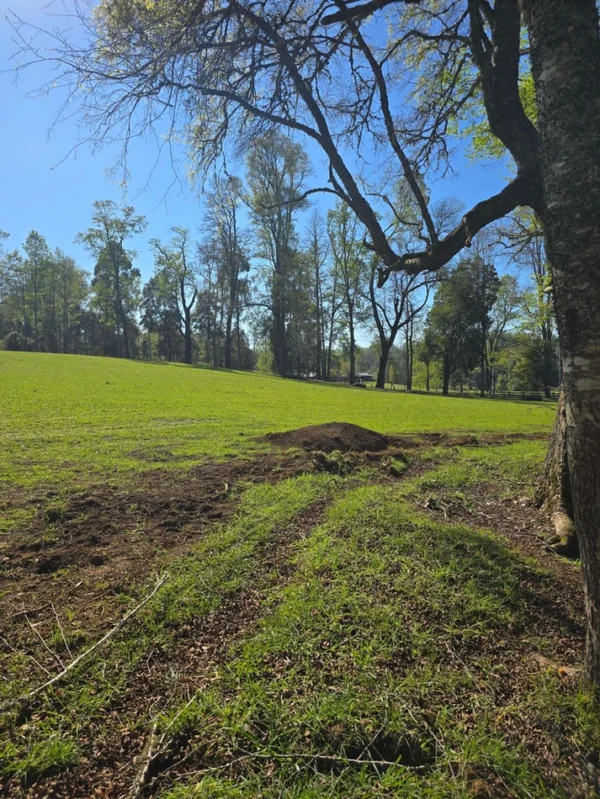 hermosas parcelas por ruta s 91 río, luz y agua. crédito directo