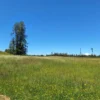 praderas de villarrica iii y iv desde $24.990.000 praderas de villarrica iii y iv desde $24.990.000