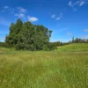 praderas de villarrica iii y iv desde $24.990.000 praderas de villarrica iii y iv desde $24.990.000