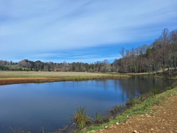 hermosas parcelas por ruta s 91 río, luz y agua. crédito directo
