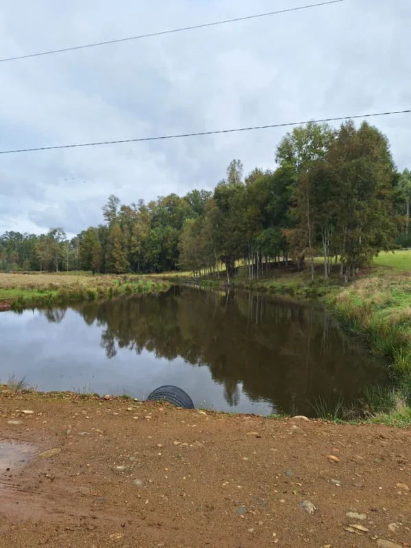 hermosas parcelas por ruta s 91 río, luz y agua. crédito directo