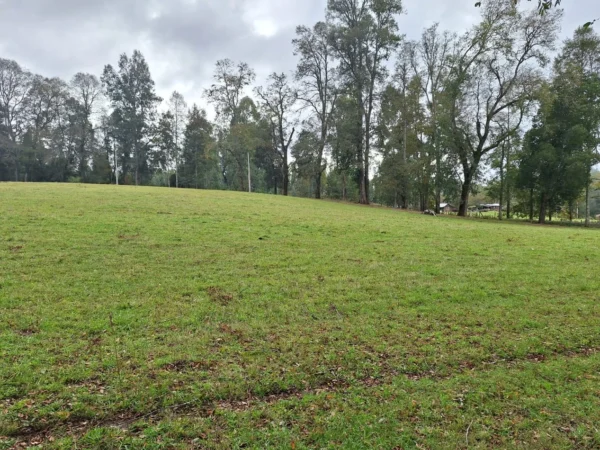 hermosas parcelas por ruta s 91 río, luz y agua. crédito directo