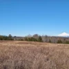 praderas de villarrica iii y iv desde $24.990.000 praderas de villarrica iii y iv desde $24.990.000