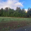 praderas de villarrica etapa ii desde $25.000.000 praderas de villarrica etapa ii desde $25.000.000