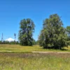 praderas de villarrica iii y iv desde $24.990.000 praderas de villarrica iii y iv desde $24.990.000