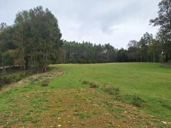 hermosas parcelas por ruta s 91 río, luz y agua. crédito directo