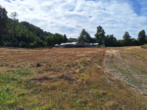 parcela ruta villarrica freire $45.000.000
