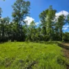 praderas de villarrica iii y iv desde $24.990.000 praderas de villarrica iii y iv desde $24.990.000
